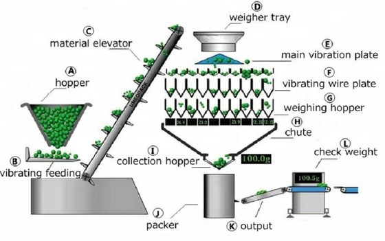 Big Target Weight Multihead Weighers For Salad Vegetables