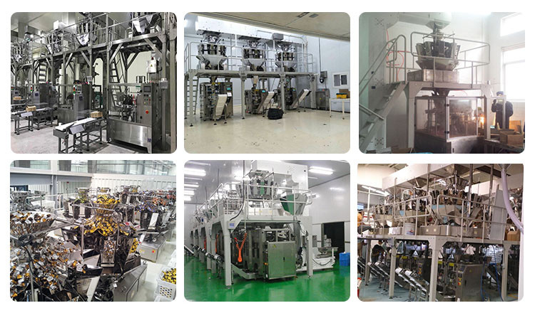 Flat Pouch Rotary Packing Machine PLC Control For Oatmeal Cookies Chocolate